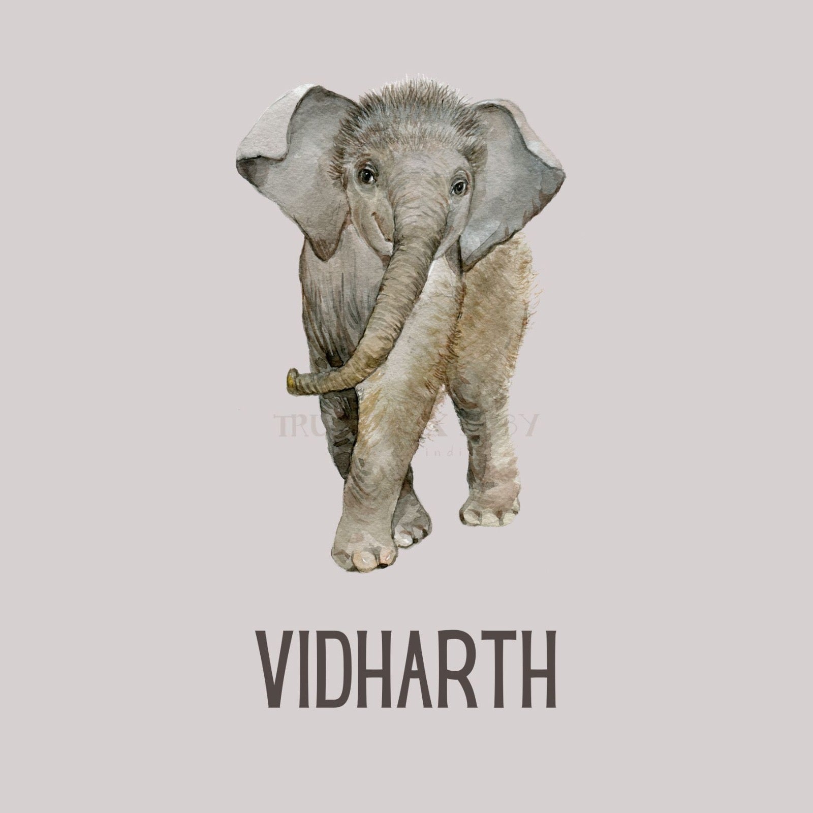 Little Elephant Customised Blanket